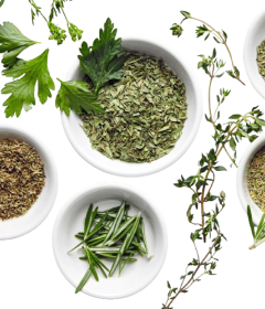 Herbs and Leaves